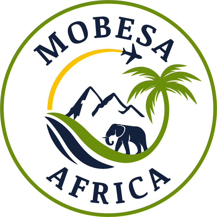 MOBESA AFRICA Logo