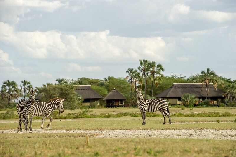 Day 1: Tarangire National Park