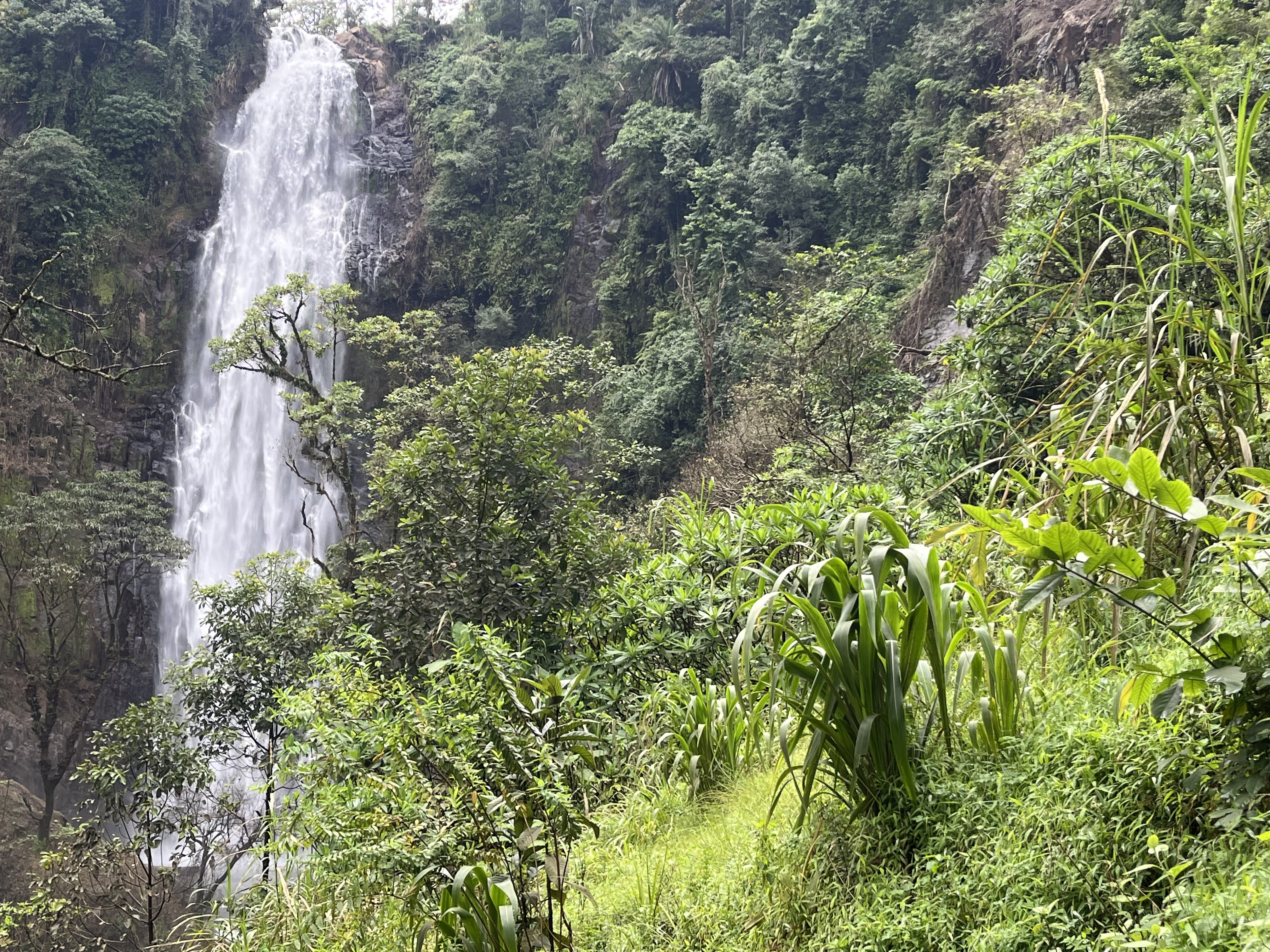 Day 1: Materuni Waterfalls Hike